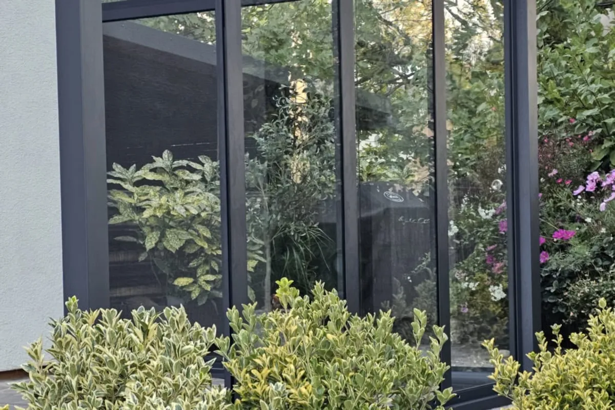 Anthrazitfarbene Pergola mit Glaswänden hinter immergrünen Sträuchern im Garten